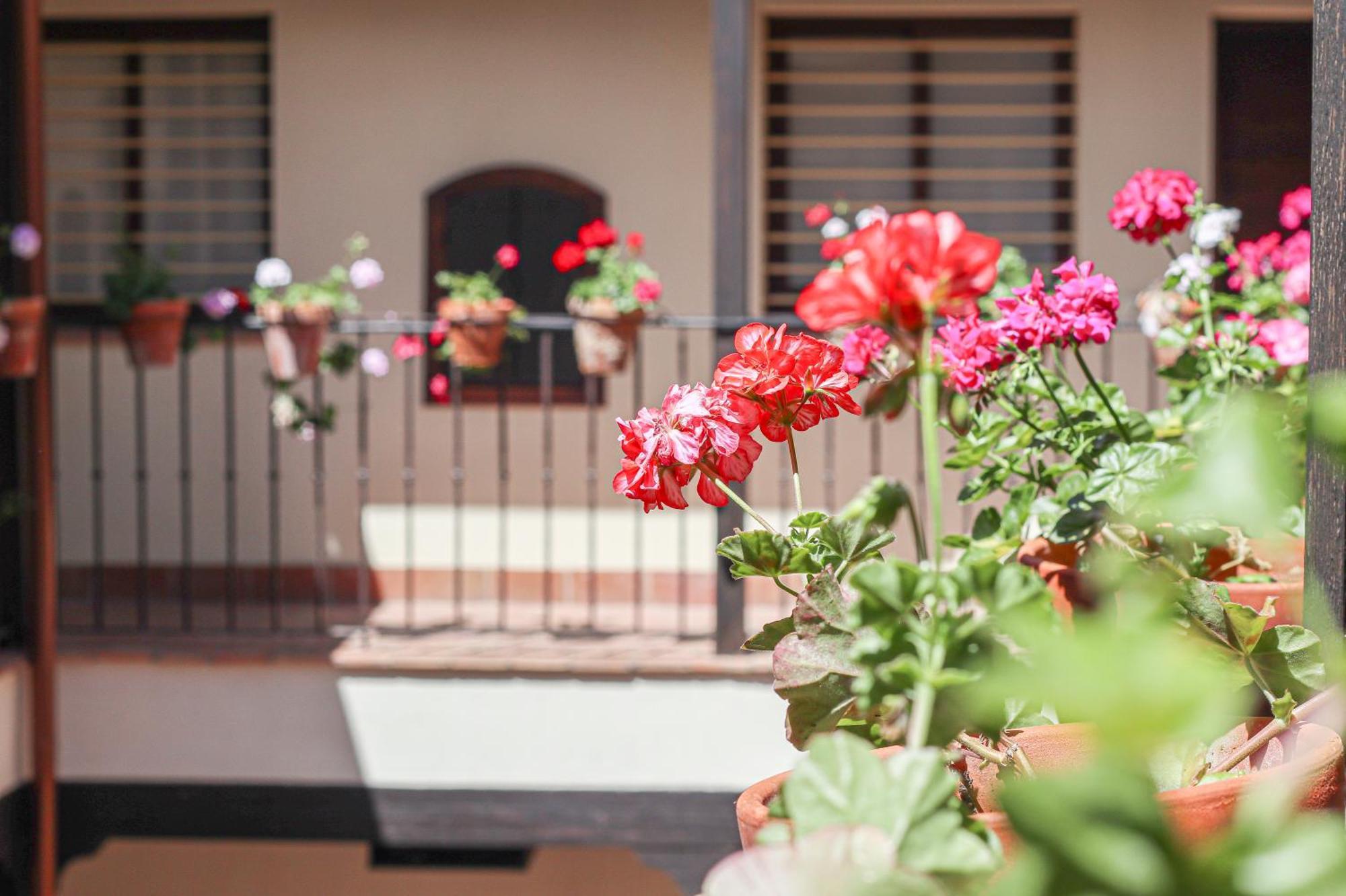 Charming Apt In The Center - 10M Walk Isla Magica Sevilla Buitenkant foto